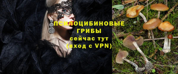 круглые Богородицк